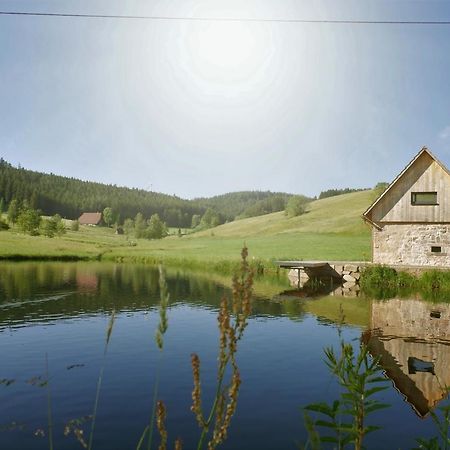 Ferienhaus Im Schwarzwald Am See "Backhaeusle" Villa Hornberg Exterior foto
